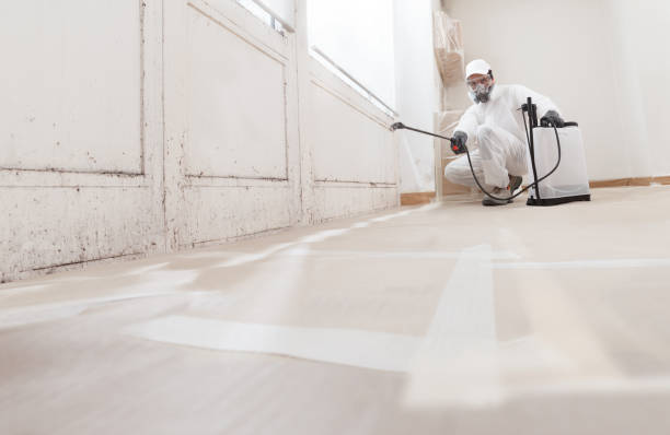24/7 Emergency Mold Cleanup experts in Union, NJ