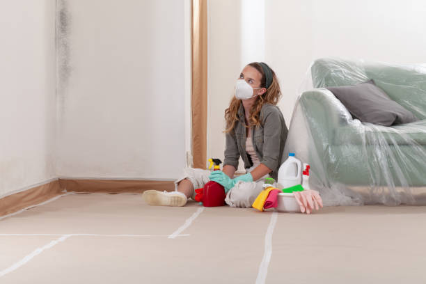 Reliable Mold Cleanup contractor in Union, NJ by WQB Mold Removal